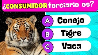 🦁🌱 ¿Cuánto Sabes sobre la Cadena Alimenticia? 🐾 🧠 Quiz sobre la Cadena Alimenticia 📚🏆