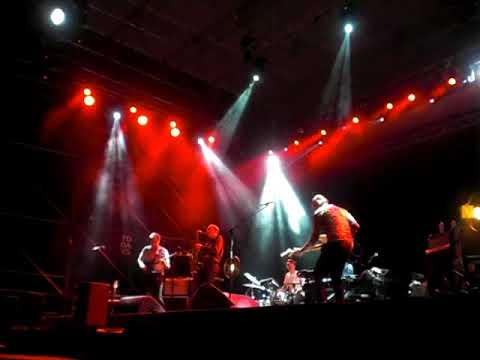 Timber Timbre -Trouble Comes Knocking (TOdays Festival Torino)
