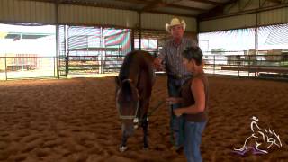 How to Hobble A Horse - Pete Kyle