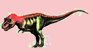 Trex Test