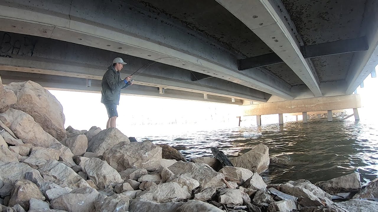 An unexpected find! (Found a Hybrid Bass spawn!)