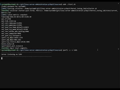 Day 37: Tuning the Kernel for 10GbE Throughput: Unlocking the Wire Speed