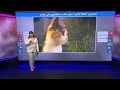 تسميم قطة المهرجان وأولادها يثير غضبا على وسائل التواصل في مصر