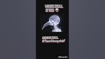 WHOSE SKULL IS THIS #algorithm #meme #funny #trending #viral #popular #blowthisupforme #roblox