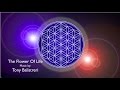 The flower of life  thrive movement tribute music by tony balistreri