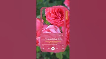 سوره الكافرون الشيخ ياسر الدوسري