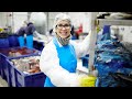What happens at a seafood processing plant  seafood with standards