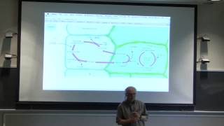 BB 350 Final Exam Review Session