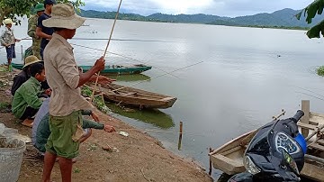 Câu cá rô phi ở hồ Lắk