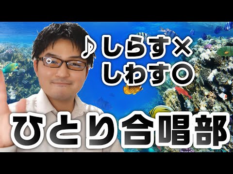 しらす しわす ひとり合唱部 歌ブログ Singlog One Man Choir 一発芸 須和しわす