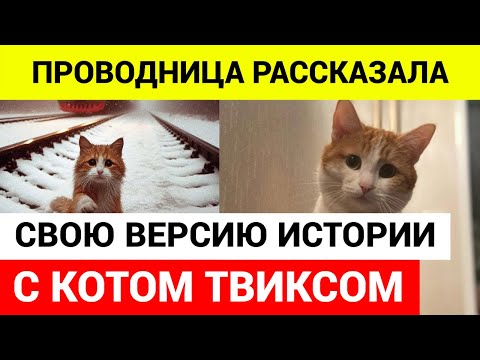 Проводник, высадившая кота Твикса, временно отстранена от работы \\  кот твикс