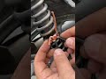Truque simples no amortecedor da sua moto #MotoDicas #Suspensão #DIYBrasil