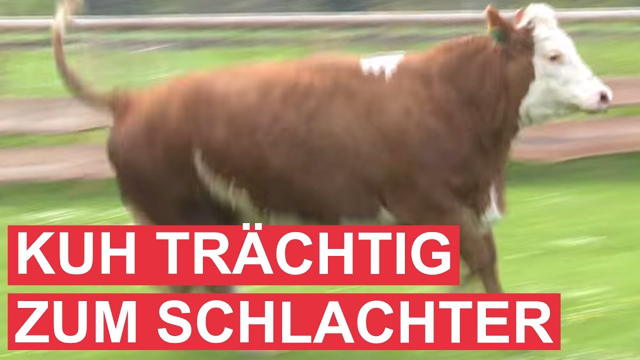 Müde Savannah Fyre wird nach der Arbeit massiert und gefickt Müde Savannah Fyre wird nach der Arbeit massiert und gefickt