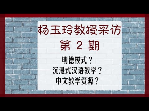 【MissATU对外汉语】沉浸式教学不现实？适用大纲的教学资源网？北语杨教授采访 第02期