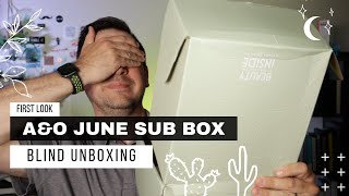 Archer and Olive June Subscription Box Blind Unboxing