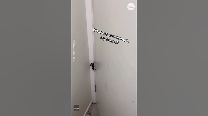 Ez a nő megpróbálta megőrizni a hidegvérét, amikor egy hatalmas, szőrös pókot talált a házában