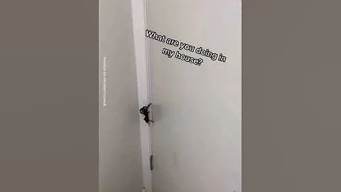 This woman tried to keep her cool when she found a huge, furry spider in her house