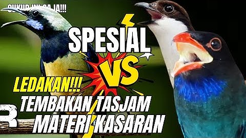 MASTERAN PALING DICARI!!! GEREJA TARUNG - TENGKEK BUTO - CUNGKOK MENJERIT