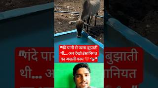 “गंदे पानी से प्यास बुझाती थी… अब देखो इंसानियत का असली काम ❤️🐄”#shorts #youtubeshorts #reaction