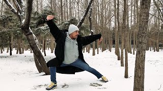 KUNG-FU NA NEVE; PRATICANDO #2; 一 ChaQuan 》查拳 一 #AcervoTopTeam
