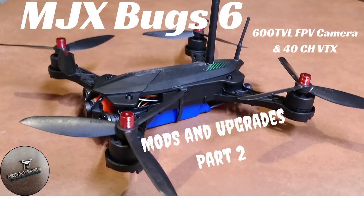 bugs 6