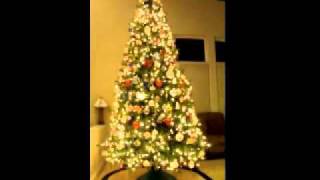 Christmas Tree Video.0001.avi