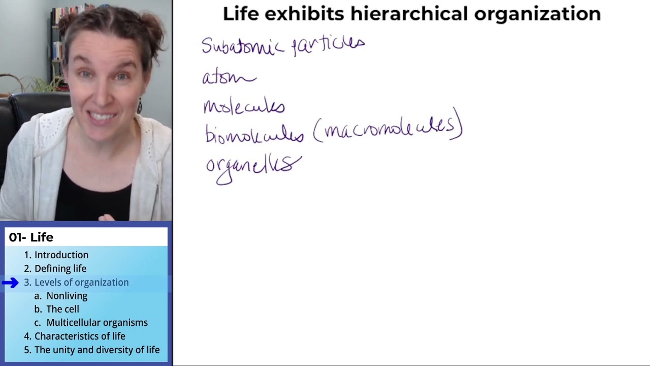 Life 3- Hierarchical organization