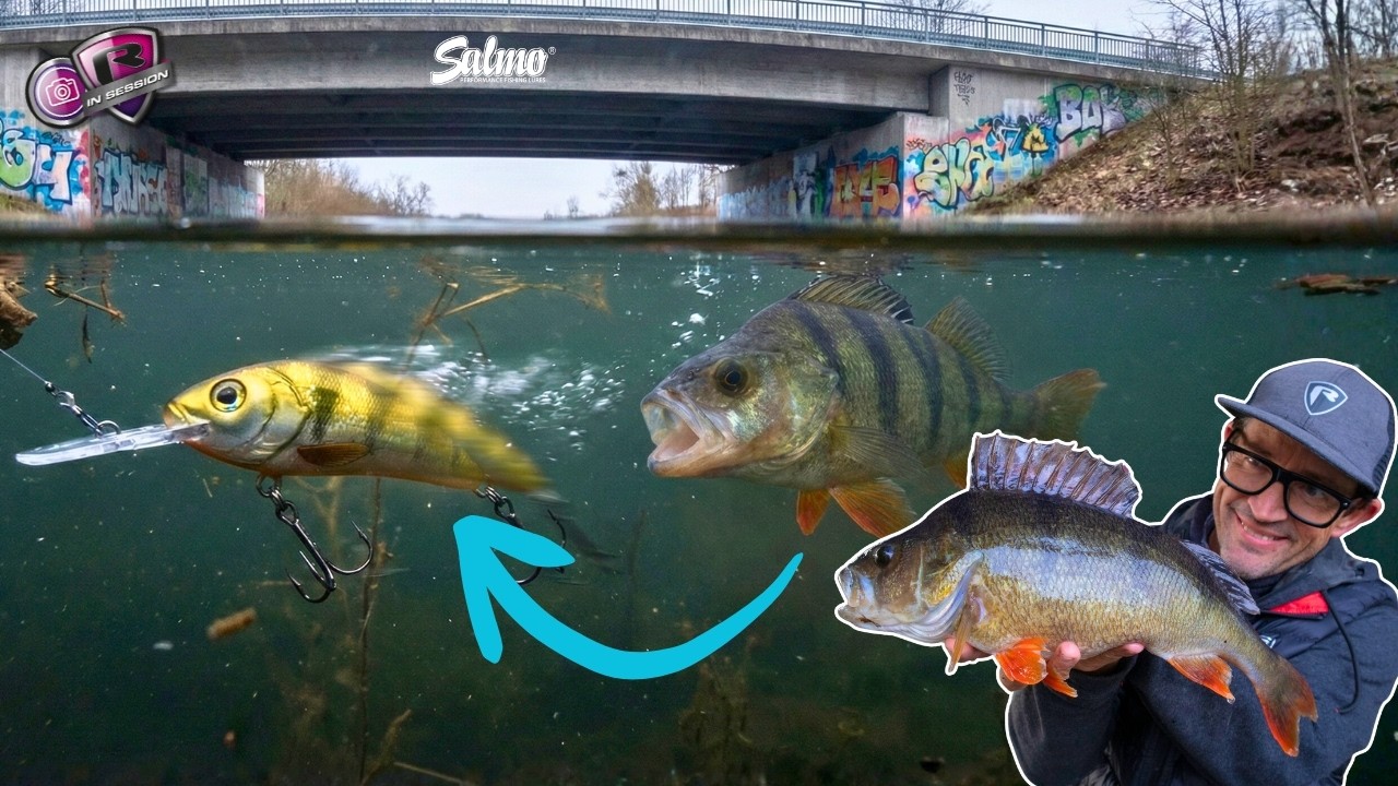 Ловля окуня на жесткие приманки: простые зимние поклевки | Рыбалка на искусственные приманки с Ни...