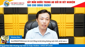 Nguyên nhân và cách xử lý hiệu quả khi tôm bị trống ruột
