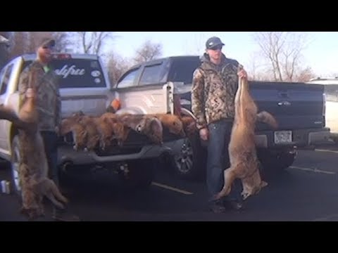 Are Wildlife Killing Contests Being Held in Your State?