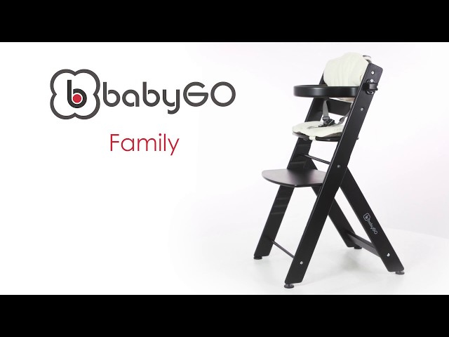 BabyGO - Family - YouTube
