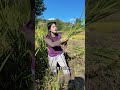 要财要钱请留步