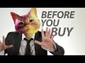 Stray  before you buy
