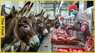 Factory Tour - Sausage Processing Factory from Millions of Donkeys | Food Factory