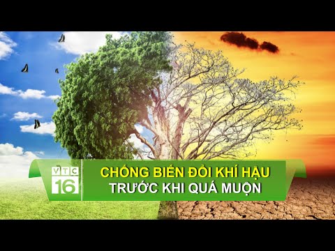 Tình Hình Biến Đổi Khí Hậu Ở Việt Nam - Chống biến đổi khí hậu trước khi quá muộn | VTC16