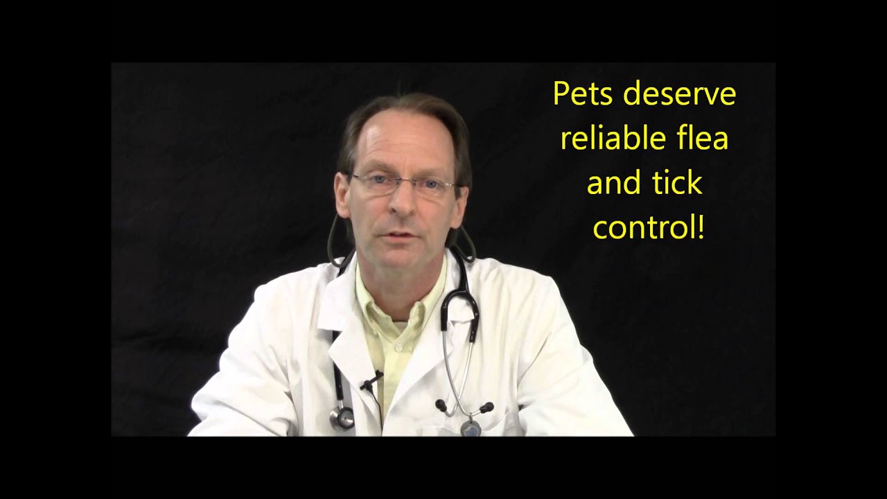 What Not To Use To Kill Ticks YouTube what-not-to-use-to-kill-ticks-youtube