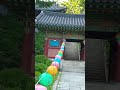 아이와 연인과 꼭 가볼만한 곳 (철원 여행- 도피안사 (Cheorwon Dopiansa Temple)강원 철원군 동송읍 도피동길 23 도피안사#도피안사, #철원,  #철원 여행