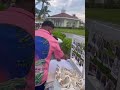 Traditional Indian Welcome Ceremony in Cancun, Mexico  | Festive Pre-Wedding Celebration