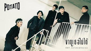 ขาดเธอไม่ได้ - POTATO (Ost.หัวใจรักพิทักษ์เธอ)「Official MV」