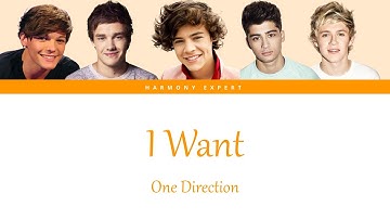 One Direction - I Want - Color Coded Lyrics