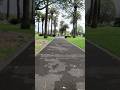 #redfern #australia #shorts #virslshorts
