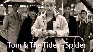 Video thumbnail of "Spider - Tom & The Tides (Tom Odell)"
