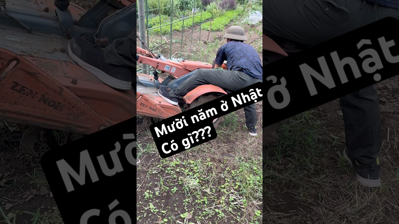 Thanh xuân trôi qua như thế có lãng phí không #minivlog