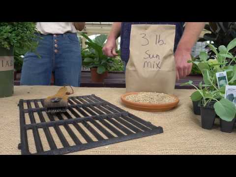 Northwest Garden's September Tasks: 7 Must-Do for a Strong Finish