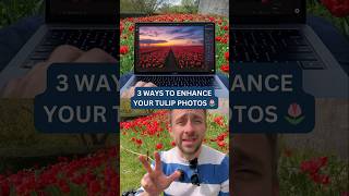 The Secret to Better Tulip Photos