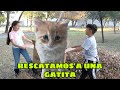 RESCATAMOS  A UNA GATITA