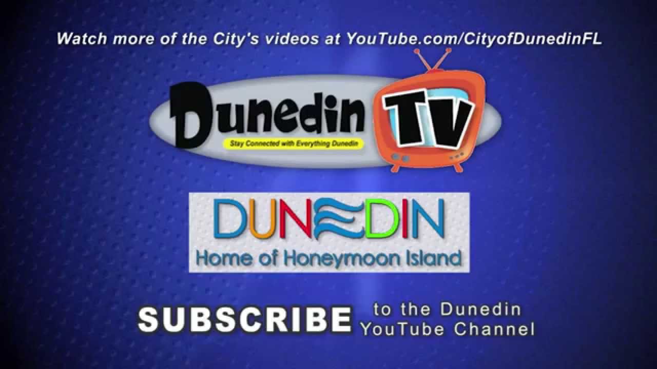 Spotlight on Dunedin Watch it Daily! YouTube