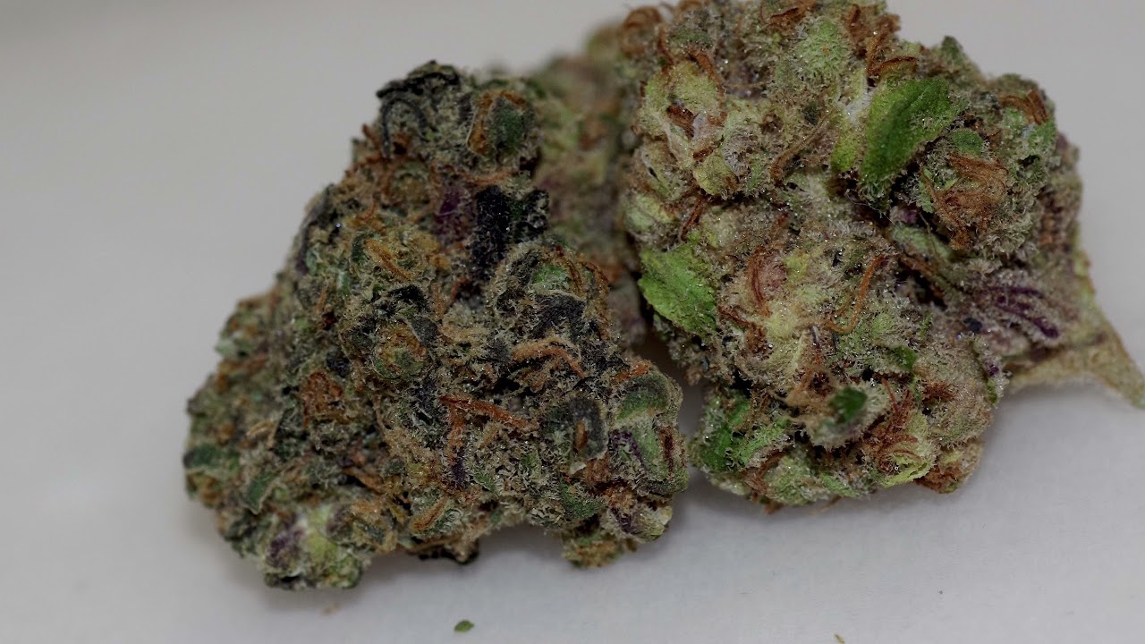 Grassroots Venom Pupils Review