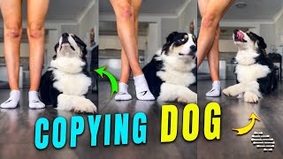 Dog Copying Mom’s Dancing Moves