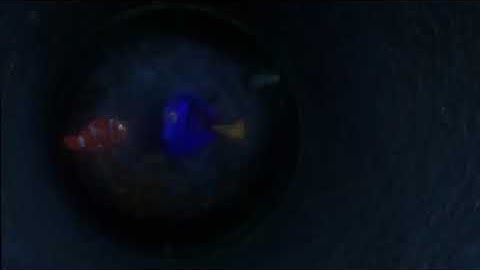 Finding Nemo | Alternative Ending